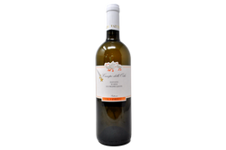 MARCHE BIANCO IGT ELEVATO 36 MESI SUI PROPRI LIEVITI "CAMPO DELLE OCHE" 2021 - FATTORIA SAN LORENZO