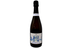 CHAMPAGNE PARCELLAIRE BRUT NATURE BLANC DE NOIRS 2016 - DOMAINE MALLET