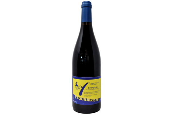 BOURGOGNE PINOT NOIR "L'EQUILIBRISTE" 2020 - MARC SOYARD