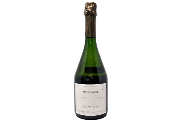 CHAMPAGNE VERZY GRAND CRU MILLÉSIME EXTRA BRUT "MONTAGNE" 2014 - DOMAINE LES MONTS FOURNOIS
