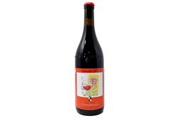 VINO ROSSO NEBBIOLO "TRIPLE A" 2023 - CASCINA FONTANA