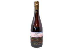 CHAMPAGNE BLANC DE NOIRS EXTRA BRUT ROSÉ BI-PARCELLAIRES "TRAIT D'UNION" - BARDIAU