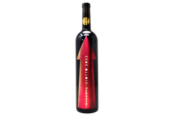 TERRE SICILIANE IGP ROSSO RISERVA "GIOTTO" 2023 - GIOTTO BINI