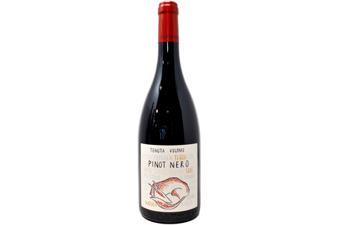TRENTINO DOC PINOT NERO 2024 - TENUTA VOLPARE