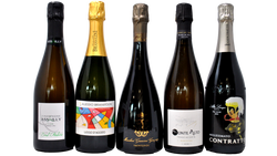 TRENTO - ALTA LANGA - FRANCIACORTA - CHAMPAGNE - OLTREPÒ PAVESE - TASTING BOX