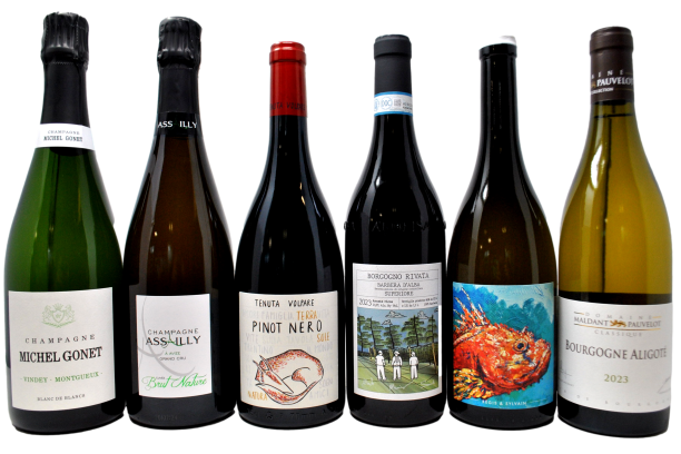 CHRISTMAS BOX - 6 BOTTIGLIE + PANETTONE LA RUOTA IN REGALO