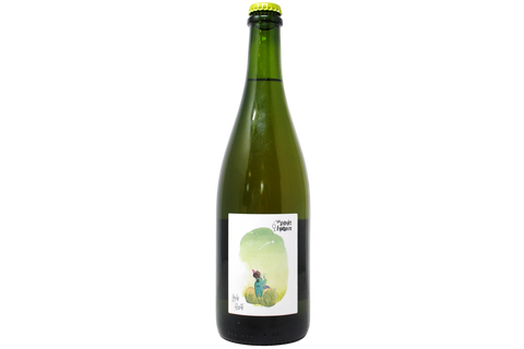 LOIRA CHENIN BLANC METODO ANCESTRALE "ÉTOILE FILANTE" - DOMAINE DES GRANDES ESPERANCES