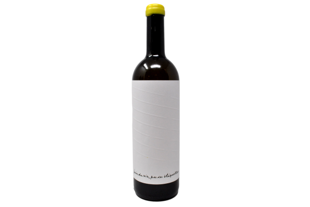 LANGHE CHARDONNAY DOC 2023 - DWNL ALESSANDRO SALVANO