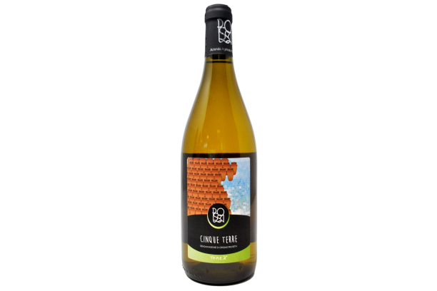 CINQUE TERRE BIANCO DOC "ANFORA" 2024 - AZIENDA AGRICOLA POSSA
