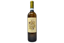 GRILLO SICILIA DOC "ACACIA" 2024 - CANTINE COLOSI