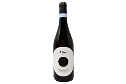 VERDICCHIO DEI CASTELLI DI JESI CLASSICO SUPERIORE DOC "YLICE" 2023 - PODERI MATTIOLI