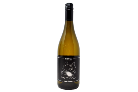 SAUVIGNON BLANC "ANIMALE CELESTE" 2024 - STEFANO ANTONUCCI