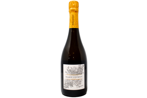 CHAMPAGNE BIODINAMICO EXTRA BRUT BLANC DE BLANCS "ELOQUENCE" 2019 - CHAMPAGNE MARIE-COURTIN