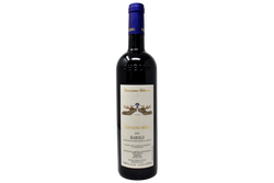 BAROLO DOCG "CERVIANO-MERLI" 2019 - MARZIANO ABBONA