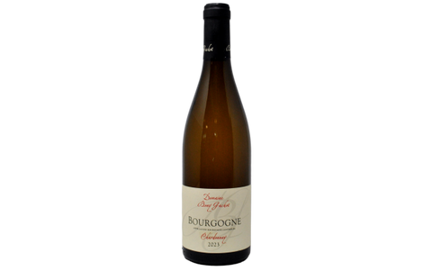 BOURGOGNE CHARDONNAY 2023 - DOMAINE BONY GACHOT