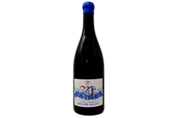 COTEAUX CHAMPENOIS ROUGE 2022 (874 BOTTIGLIE PRODOTTE) - DOMAINE MALLET