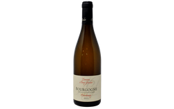 BOURGOGNE CHARDONNAY 2023 - DOMAINE BONY GACHOT