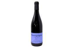BOURGOGNE ROUGE 2023 - SYLVAIN PATAILLE