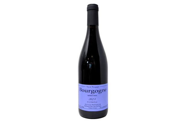 BOURGOGNE ROUGE 2023 - SYLVAIN PATAILLE