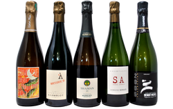 CHAMPAGNE SELVAGGI - TASTING BOX - 5 BOTTIGLIE