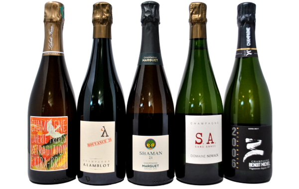 CHAMPAGNE SELVAGGI - TASTING BOX - 5 BOTTIGLIE
