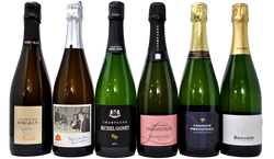 CHAMPAGNE STARTER PACK - 6 BOTTIGLIE PER INIZIARE
