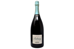 CHAMPAGNE BIO BRUT NATURE "AMBONNAY" GRAND CRU 2019 MAGNUM - MARGUET