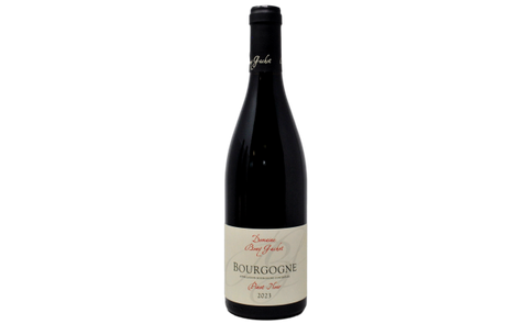 BOURGOGNE PINOT NOIR 2023 - DOMAINE BONY GACHOT
