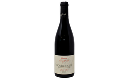 BOURGOGNE PINOT NOIR 2023 - DOMAINE BONY GACHOT