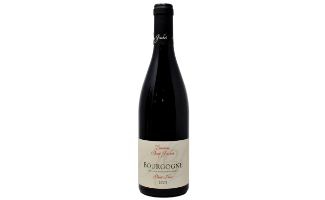 BOURGOGNE PINOT NOIR 2023 - DOMAINE BONY GACHOT