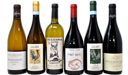 CHARDONNAY VS PINOT NERO - ITALIA VS FRANCIA - 6 BOTTIGLIE