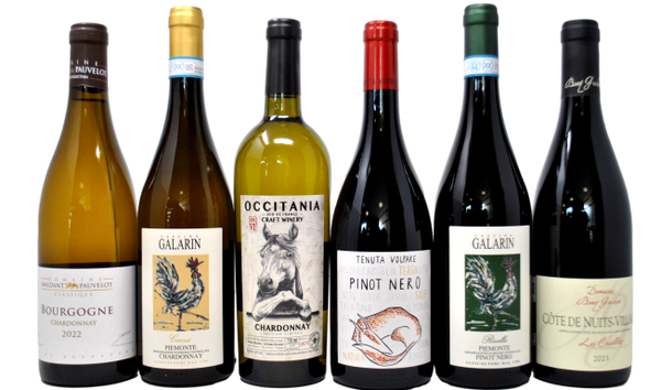 CHARDONNAY VS PINOT NERO - ITALIA VS FRANCIA - 6 BOTTIGLIE
