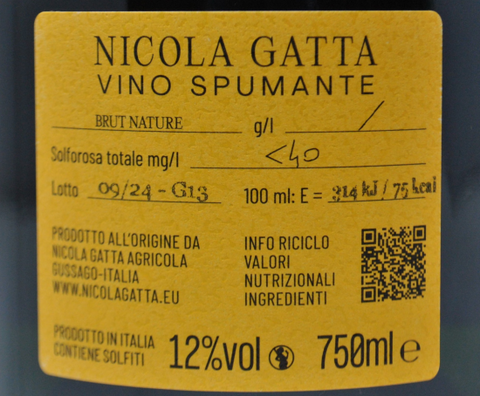 VINO SPUMANTE METODO PERPETUO NATURE BLANC DE NOIRS 36 LUNE "11.21" - NICOLA GATTA