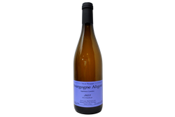 BOURGOGNE ALIGOTÉ 2023 - SYLVAIN PATAILLE