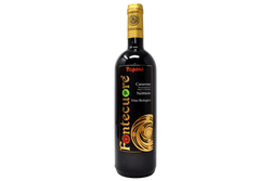 CANAVESE NEBBIOLO DOC BIOLOGICO "PEGASO" 2019 - FONTECUORE