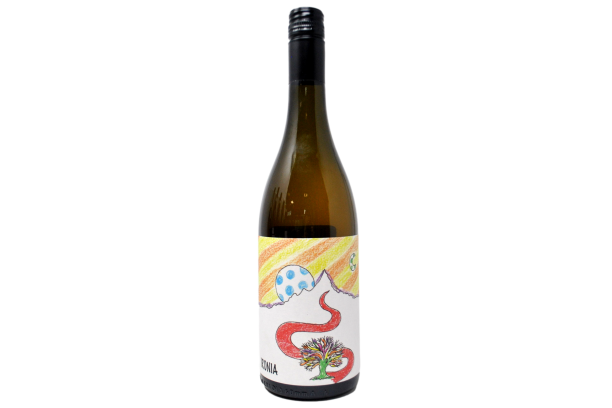 VINO BIANCO 100% ARNEIS "IRONIA, UN CAOS ORDINATO" 2024 - LE MORE BIANCHE