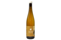 BIANCO VERONESE IGT GARGANEGA BIO "DRAGO BIANCO" 2023 - MUSELLA