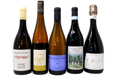 SPRING 2026 TASTING BOX - 5 BOTTIGLIE + CHAMPAGNE SUBLIME IN REGALO