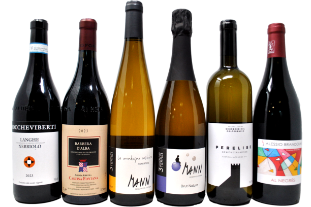 ORIZZONTI DEL GUSTO TASTING BOX - PIOVONO REGALI - 6 BOTTIGLIE