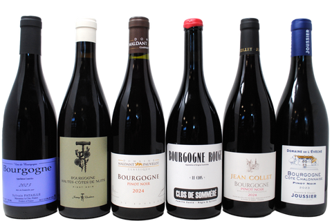 BOURGOGNE PINOT NERO TASTING BOX - 5 BOTTIGLIE + BOURGOGNE ROUGE '23 DI PATAILLE IN REGALO