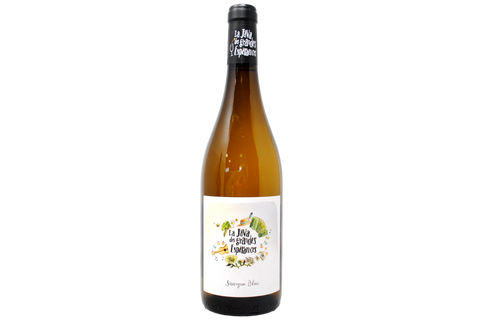 SAUVIGNON BLANC BIO "LA JAVA" 2024 - DOMAINE DES GRANDES ESPERANCES