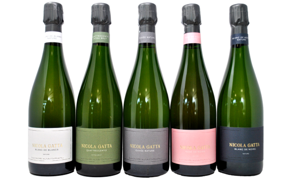 NICOLA GATTA TASTING BOX - NUOVE SBOCCATURE SETTEMBRE 2024 - 5 BOTTIGLIE
