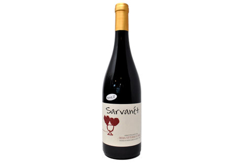 VINO ROSSO "SARVANET" 2020 - BERA VITTORIO E FIGLI