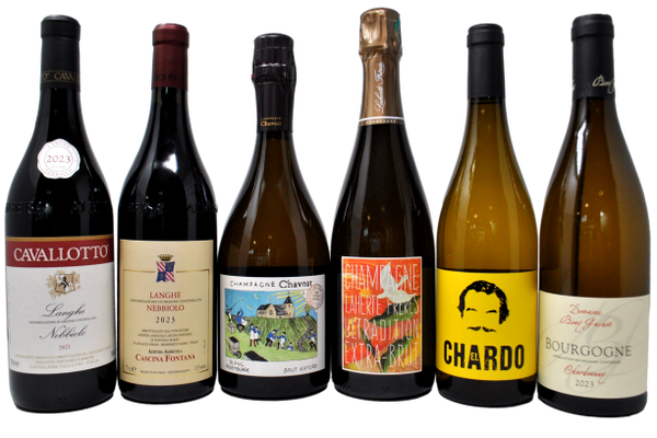 VIAGGIO SENSORIALE - TASTING BOX NUOVI ARRIVI - 6 BOTTIGLIE