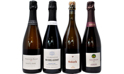 EMOZIONI D'OLTRALPE - 4 CHAMPAGNE IMPERDIBILI
