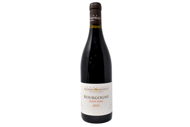 BOURGOGNE PINOT NOIR 2023 - DOMAINE MALDANT PAUVELOT