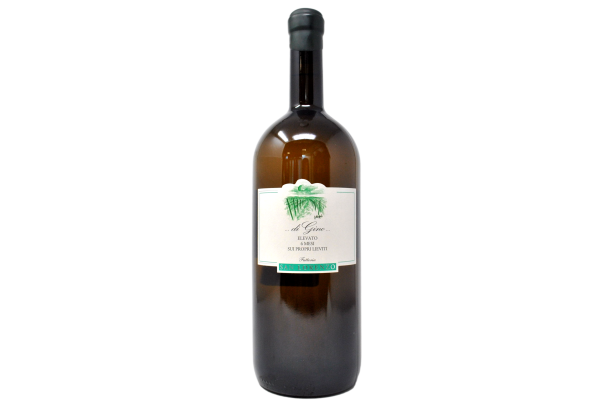 MARCHE BIANCO IGT "DI GINO" 2024 MAGNUM - FATTORIA SAN LORENZO