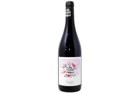 CABERNET FRANC & GAMAY BIO "LA JAVA" 2023 - DOMAINE DES GRANDES ESPERANCES