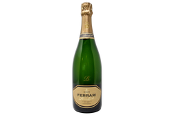 TRENTO DOC EXTRA BRUT BLANC DE BLANCS "RISERVA LUNELLI" 2009 SBOCCATURA 2018 - FERRARI