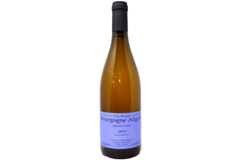 BOURGOGNE ALIGOTÉ 2023 - SYLVAIN PATAILLE